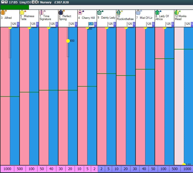 Inplay interface ippica