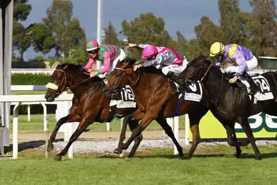 Introduzione mercato dell'ippica