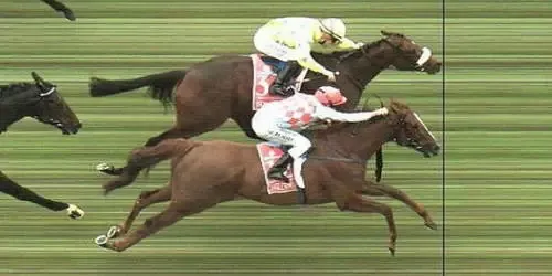 trucchi e strategie sull'ippica