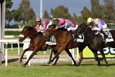 Introduzione mercato dell'ippica